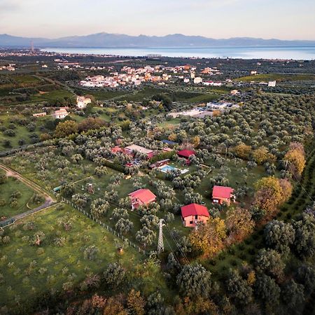 罗萨诺La Piana Degli Ulivi住宿加早餐旅馆 外观 照片