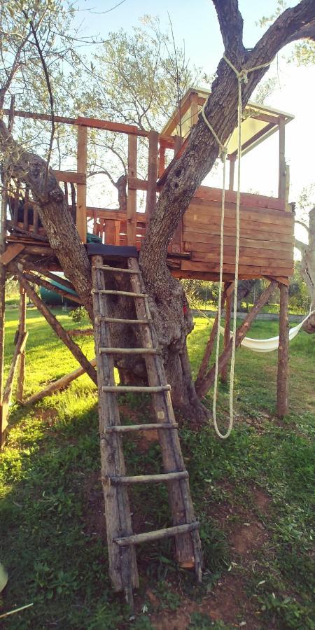 罗萨诺La Piana Degli Ulivi住宿加早餐旅馆 外观 照片