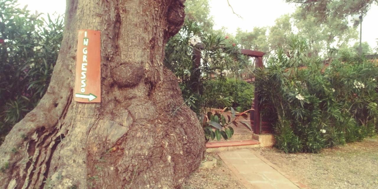 罗萨诺La Piana Degli Ulivi住宿加早餐旅馆 外观 照片