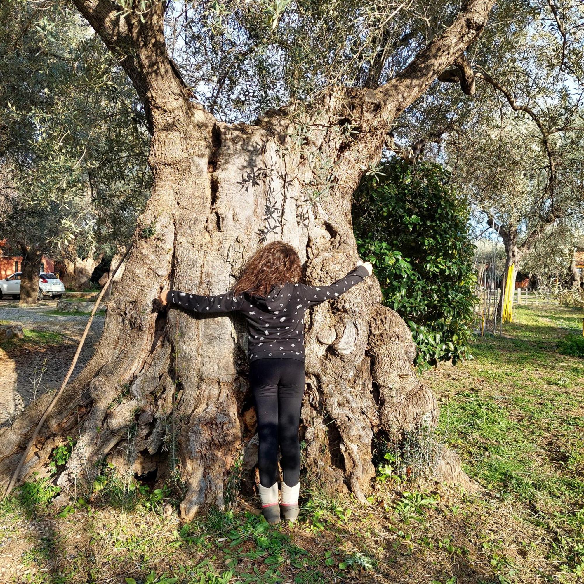 罗萨诺La Piana Degli Ulivi住宿加早餐旅馆 外观 照片