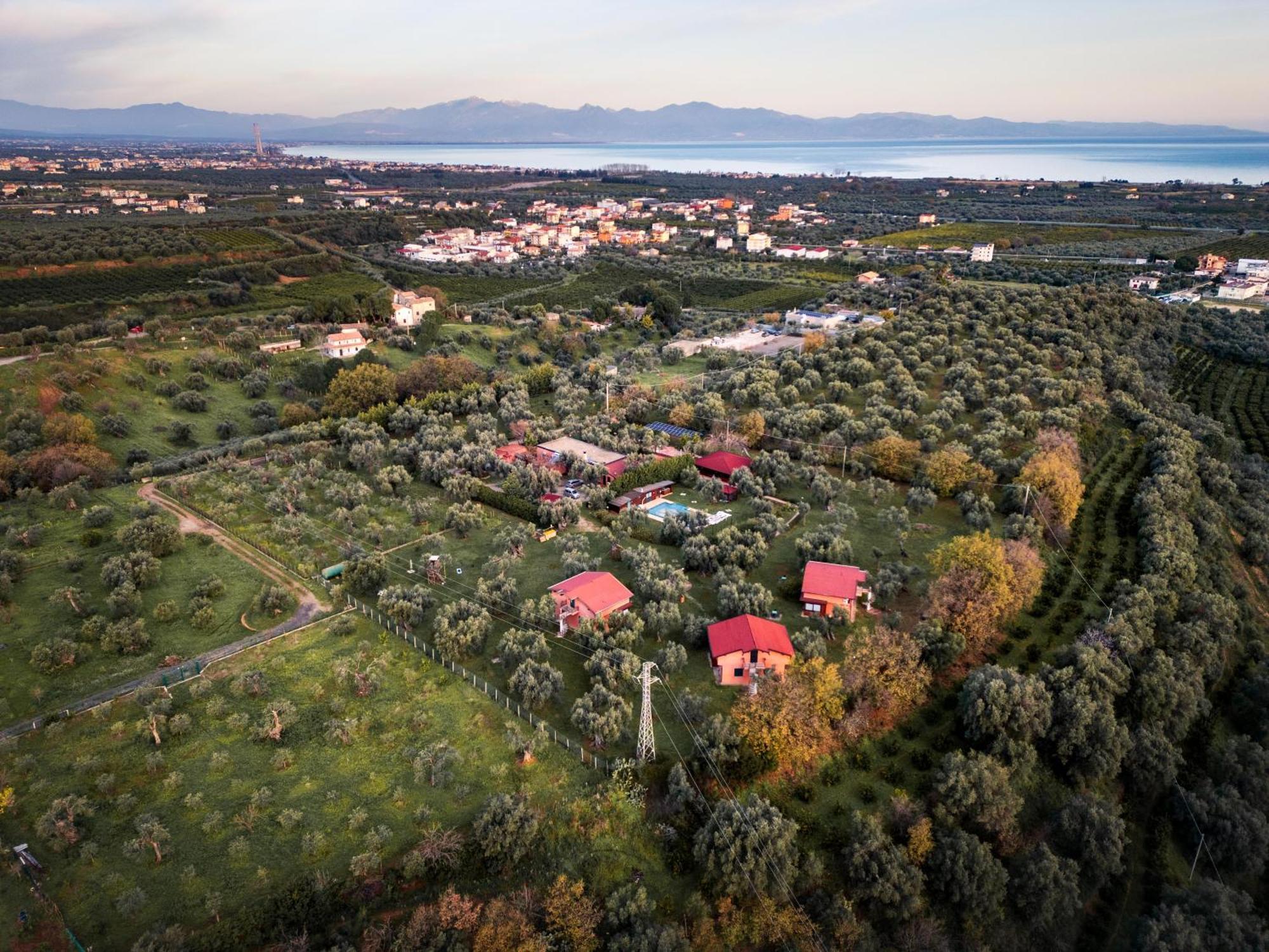 罗萨诺La Piana Degli Ulivi住宿加早餐旅馆 外观 照片